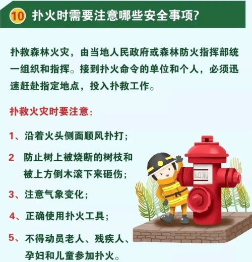 森林滅火安全基礎知識