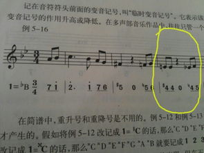 五線(xiàn)譜樂(lè )理基礎知識界