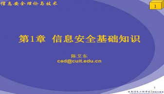 信息技術(shù)基礎知識復習