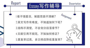 經(jīng)濟學(xué)專(zhuān)業(yè)學(xué)科基礎知識