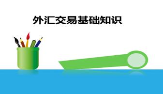 外匯市場(chǎng)基礎知識PPT