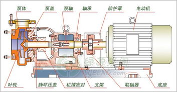 離心泵設計基礎知識