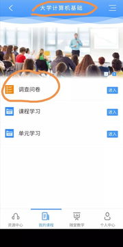 對計算機基礎知識的問(wèn)卷調查