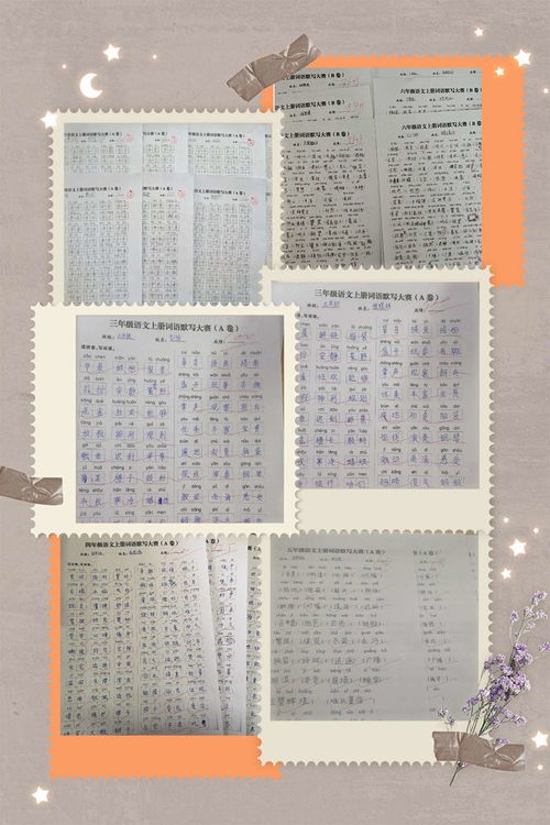 夯實(shí)數學(xué)基礎知識提升教學(xué)質(zhì)量