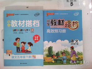 小學(xué)語(yǔ)文基礎知識手冊五級下冊