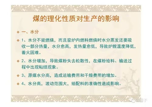 煤質(zhì),幻燈片,基礎知識