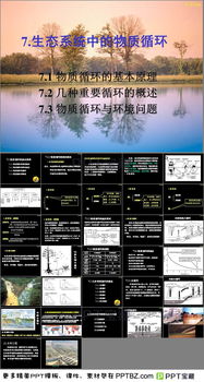 生態(tài)學(xué),整理,基礎,知識