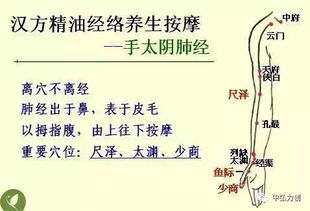 中醫的最基礎知識是