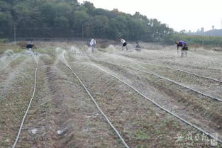 灌溉建設的基礎知識
