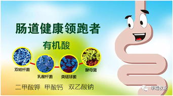 酸化劑基礎知識