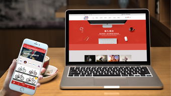 山東聯(lián)通公共基礎知識