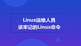 基礎知識,linux