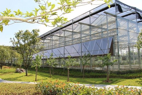 部隊溫室種植基礎知識