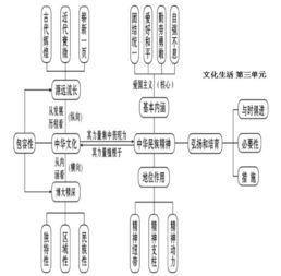 高中政治基礎知識匯總,高中政治基礎知識填空,怎樣夯實(shí)語(yǔ)文基礎知識