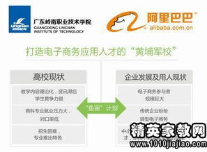 已具備的專(zhuān)業(yè)基礎知識