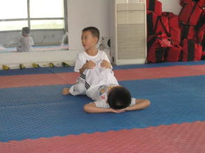 跆拳道的基礎知識,跆拳道基礎知識問(wèn)答,跆拳道基礎知識教學(xué)