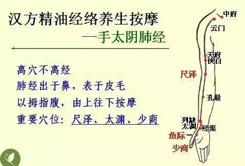 中醫基礎知識風(fēng)