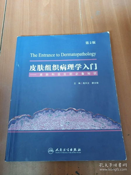 皮膚科臨床基礎知識