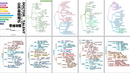 公共基礎知識思維導圖助考之師