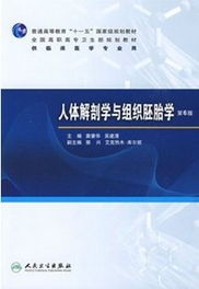 人體解剖學(xué)與組織胚胎學(xué)基礎知識點(diǎn)