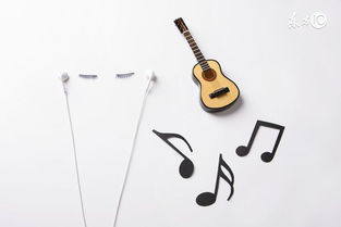 音程基礎知識答案