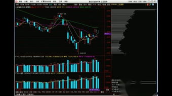 股票字母入門(mén)基礎知識