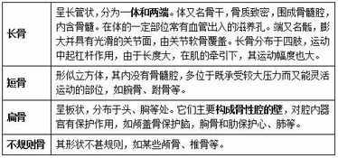 醫學(xué)基礎理論知識考試題